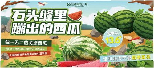 热门大瓜每日大赛,揭秘娱乐圈最新爆料,大赛精彩瞬间回顾